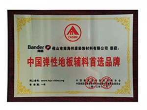 2014年中國彈性地板輔料首選品牌